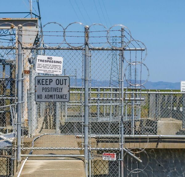 online authority link building