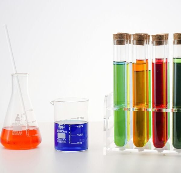 Organic Traffic Solutions 368660885 for Online Growth